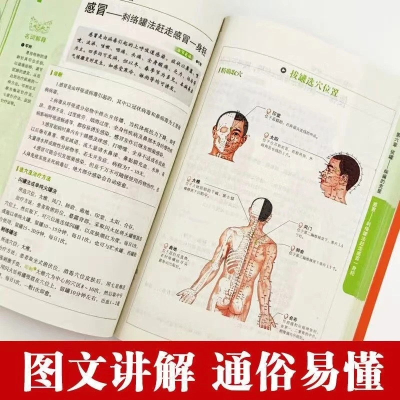 Holistic Health & Wellness Ser - Health Wellness Guide ulasan dan harga
